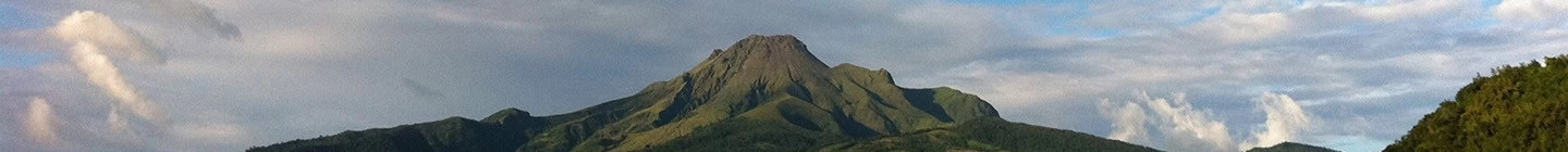 <h4>Foire aux questions</h4>
