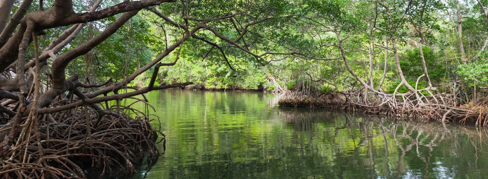 visuel d'illustration sur notre démarche de Responsabilité Sociétale