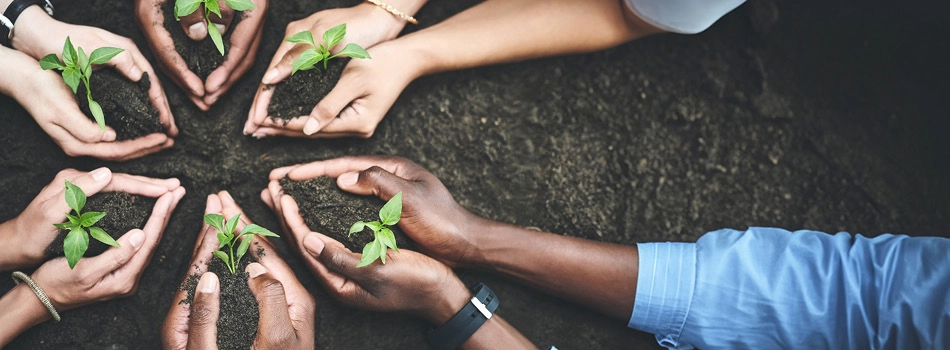 visuel illustration engagement environnemental